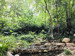 -成都市活水公园