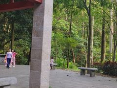 -火炉山森林公园