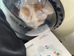 -瑞派紫金宠物医院24小时·骨科·中兽医·重症转诊中心(番禺大石院)