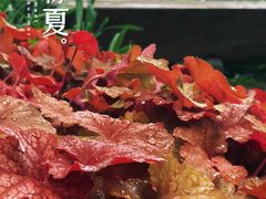 -东山雕花楼