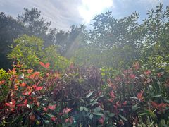 -青龙山国家森林公园