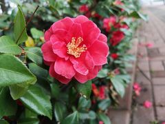 -星湖街(地铁站)