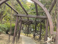 -天鹿湖森林公园