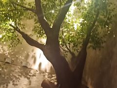 -永安鱼庄·镇江菜(丁卯店)