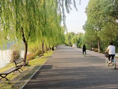 -东湖落雁景区