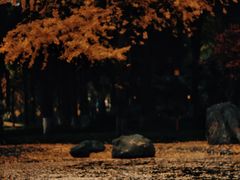 -温江公园