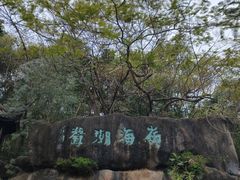 -华侨城湿地公园