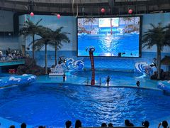 -海合安成都极地海洋公园