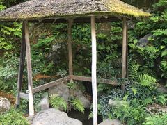 -豆政(金閣寺境内売店)