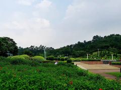 -三水森林公园