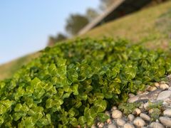 -白塘生态植物园