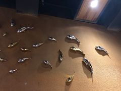 -海陆空(万松园店)