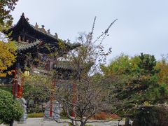 -武汉园博园(武汉自然博物馆)