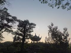 -顺峰山公园