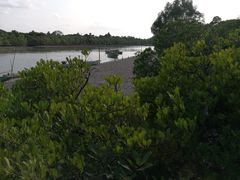 -东寨港红树林旅游区