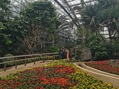 -南山植物园