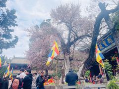 -盘龙寺