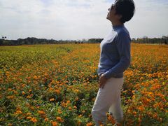 -映月湖中央公园