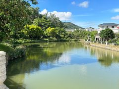 -顺峰山公园