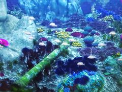 -珠海横琴国家地理探险家中心(创新方)