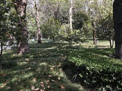 -木塔寺遗址生态公园