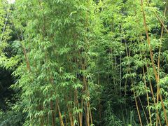 -天河潭旅游度假区