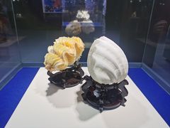 -贝壳王国博物馆