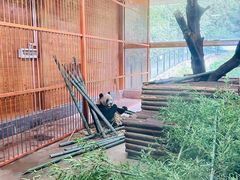-云南野生动物园
