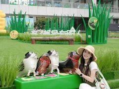 -深圳来福士广场