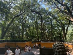 -普陀山风景名胜区-法雨禅寺