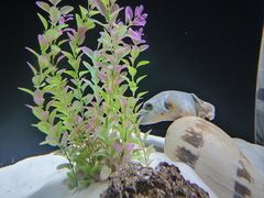 -西安曲江海洋极地公园
