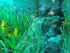 -上海海洋水族馆