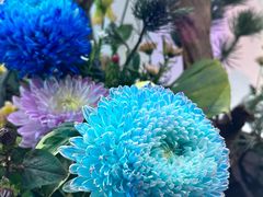 -杭州植物园