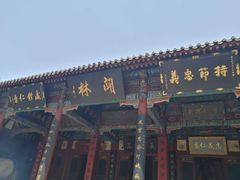 -关林