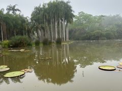 -中国科学院西双版纳热带植物园