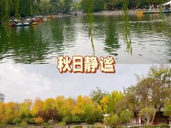 -莲湖公园