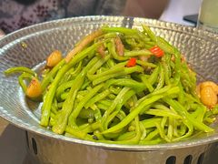-33号大院·青岛本帮菜(五四广场店)