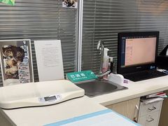 -美美宠物诊疗中心·异宠·骨科(滨江东信分院)