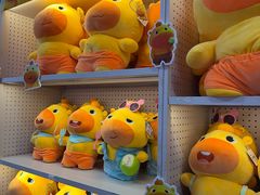 -天空之城游乐体验世界(义乌之心店)
