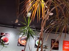 -一坐一忘云南菜(北京skp店)