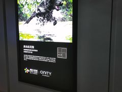 -中影国际影城(大唐西市4K临境音店)