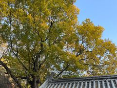 -青檀寺景区