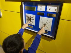 -上海昆虫博物馆