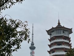 -洋湖国家湿地公园