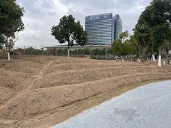 -春花秋色城市公园