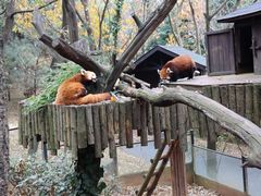 -云南野生动物园