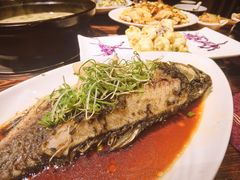 本地鲫鱼-渔米粥(罗湖店)