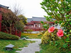 -牛首山文化旅游区