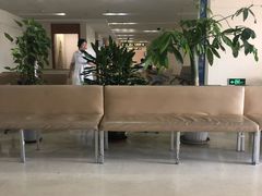 -上海交通大学医学院附属瑞金医院(总院)