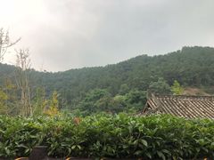 -楠柏弯休闲山庄(梨花溪店)